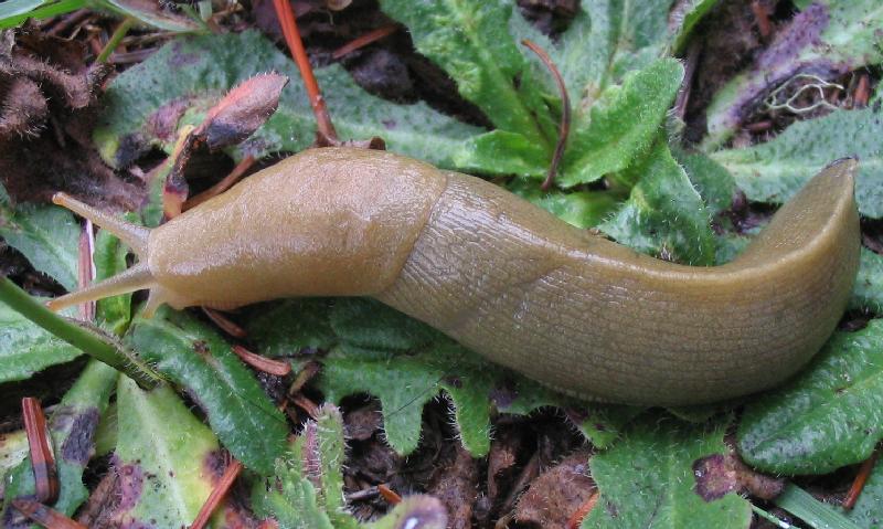 click to expand