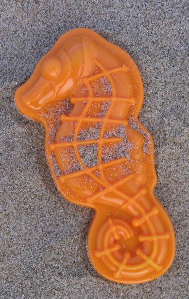 seahorse