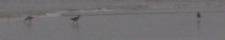 click to expand