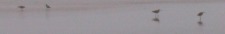 click to expand