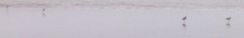 click to expand